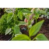 Kroplownik rzędowy GARDENA Micro-Drip-System 13317-20 (10 szt.) Gwarancja 24 miesiące