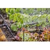 Rura do zraszaczy GARDENA Micro-Drip-System 13326-20 Rodzaj Rura do zraszaczy