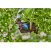 Kroplownik rzędowy GARDENA Micro-Drip-System 13315-20 (10 szt.) Nazwa HUSQVARNA POLAND SPÓŁKA Z OGRANICZONĄ ODPOWIEDZIALNOŚCIĄ