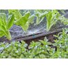 Dysza zraszająca GARDENA Micro-Drip-System 13321-20 (5 szt.) Rodzaj Dysza zraszająca