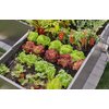 Zestaw do nawadniania GARDENA Micro-Drip-System 13455-20 (15 m) Średnica [cal] 1/2