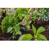 Kroplownik rzędowy GARDENA Micro-Drip-System 13314-20 (5 szt.) Nazwa HUSQVARNA POLAND SPÓŁKA Z OGRANICZONĄ ODPOWIEDZIALNOŚCIĄ