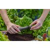 Reduktor ciśnienia GARDENA Micro-Drip-System 1000 13333-20 Rodzaj Reduktor ciśnienia