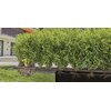 Zestaw do nawadniania GARDENA Micro-Drip-System 13500-20 (25 m) Kod pocztowy 01-066