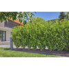 Zestaw do nawadniania GARDENA Micro-Drip-System 13500-20 (25 m) Miasto WARSZAWA