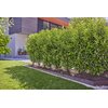 Zestaw do nawadniania GARDENA Micro-Drip-System 13500-20 (25 m) Zastosowanie Do rzędów roślin
