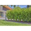 Zestaw do nawadniania GARDENA Micro-Drip-System 13500-20 (25 m) Adres elektroniczny husqvarna.poland@husqvarnagroup.com