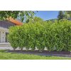 Zestaw do nawadniania GARDENA Micro-Drip-System 13500-20 (25 m) Średnica [cal] 1/2