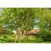 Sekator teleskopowy GARDENA StarCut PRO L 12081-20 Kolor Szaro-pomarańczowy