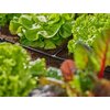 Rozdzielacz GARDENA 13211-20 Zawór Nie