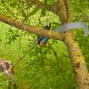Sekator teleskopowy + piła GARDENA 12082-20 2w1 Gwarancja 25 lat
