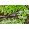 Łącznik GARDENA 13212-20 Rozmiar gwintu 3/16"