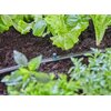 Dysza zraszająca GARDENA Micro-Drip-System 13320-20 (5 szt.) Nazwa HUSQVARNA POLAND SPÓŁKA Z OGRANICZONĄ ODPOWIEDZIALNOŚCIĄ