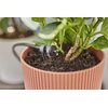 Zestaw do nawadniania GARDENA Micro-Drip-System 13401-20 (20 m) Zastosowanie Do roślin doniczkowych