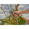 Sekator ogrodowy GARDENA 12250-20 Rodzaj Sekator