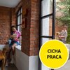 Myjka ciśnieniowa KARCHER K Silent Anniversary Edition 1.600-956.0 Wyposażenie Szampon samochodowy 0.5 l