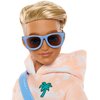 Lalka Barbie Dream Besties Ken JDD75 Kod producenta JDD75