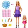 Lalka Barbie Family & Friends Siostry na pikniku JBF43 Rodzaj Lalka Barbie