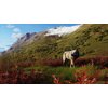 Way Of The Hunter - Wild Expeditions Gra PS5 Nośnik Blu-ray