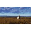 Way Of The Hunter - Wild Expeditions Gra PS5 Wersja językowa Angielska