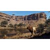Way Of The Hunter - Wild Expeditions Gra PS5 Ulica i numer budynku ul. Bonifraterska 17