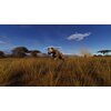 Way Of The Hunter - Wild Expeditions Gra PS5 Kod pocztowy 00-203