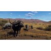 Way Of The Hunter - Wild Expeditions Gra PS5 Platforma PlayStation 5