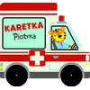 Książka na kołkach Karetka Piotrka (twarda okładka)