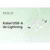 Kabel USB - Lightning QUALO Recycling QRC-AL-00 12W 1.5 m Biały Typ USB-A - Lightning