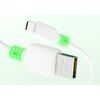 Biały kabel USB z końcówkami USB i USB Typ-C, z zielonymi akcentami przy złączach. Produkt to "Kabel USB - USB Typ-C QUALO Recycling QRC-AC-00 1.5 m Biały".