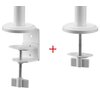 Uchwyt do monitora ONE FOR ALL DM2220 13-32 cali Biały Standard VESA [mm] 100 x 100