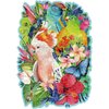 Puzzle RAVENSBURGER Ptaki 12000760 (300 elementów) Typ Dla dzieci