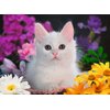 Puzzle RAVENSBURGER Glitter Biały kotek 13358 (100 elementów) Seria Premium