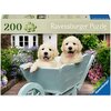 Puzzle RAVENSBURGER Golden Retriever 12001368 (200 elementów)