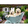 Puzzle RAVENSBURGER Golden Retriever 12001368 (200 elementów) Seria Quality