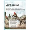 Książka Wspaniała księga dinozaurów (twarda okładka) Płeć Dziewczynka