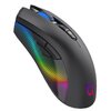 Mysz AQIRYS Phoenix Czarny Rozdzielczość 12000 dpi
