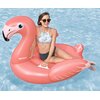 Zabawka dmuchana BESTWAY Flaming 41526 Uchwyt Tak