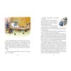 Książka Przygody Emila ze Smalandii Astrid Lindgren (twarda okładka) Okładka Twarda