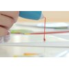 Długopis 3D 3DOODLER Start Plus EKO-plastik, Średnica dyszy 0.77 mm (zestaw rozszerzony) Rodzaj filamentu EKO-plastik