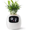 Doniczka inteligentna PLANTSIO IVY Wi-fi 0.122 L Biały