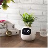 Doniczka inteligentna PLANTSIO IVY Wi-fi 0.122 L Biały Materiał Tworzywo sztuczne