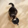 Fontanna dla zwierząt PHILIPS PAW3210/02 Bezprzewodowa Nie