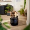 Fontanna dla zwierząt PHILIPS PAW3210/02 Informacje dodatkowe Gumowe podstawki zapewniające stabilność