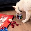 Miska dla psa CERDA Marvel S Wielokolorowy Przeznaczenie Dla psa