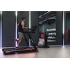 Bieżnia elektryczna BH FITNESS RX7 G6173 2574W 20km/h Załączona dokumentacja Karta gwarancyjna