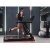 Bieżnia elektryczna BH FITNESS RX7 G6173 2574W 20km/h Gwarancja 24 miesiące