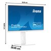 Monitor IIYAMA ProLite XUB2797HSU-W2 27" 1920x1080px IPS 100Hz 1ms Częstotliwość odświeżania obrazu [Hz] 100