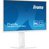 Monitor IIYAMA ProLite XUB2797HSU-W2 27" 1920x1080px IPS 100Hz 1ms Powłoka matrycy Matowa