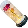 Lampka LED EXTRALINK Wieczna Róża w szkle Czerwona 24190 Rodzaj gwintu LED zintegrowany